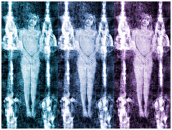 The Shroud - Copyright Roland S. Heim